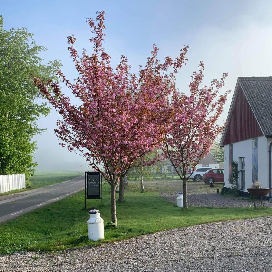 Löderup Peppinge Bed & Breakfast المظهر الخارجي الصورة